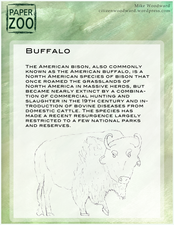 PaperZoo-buffalo-template