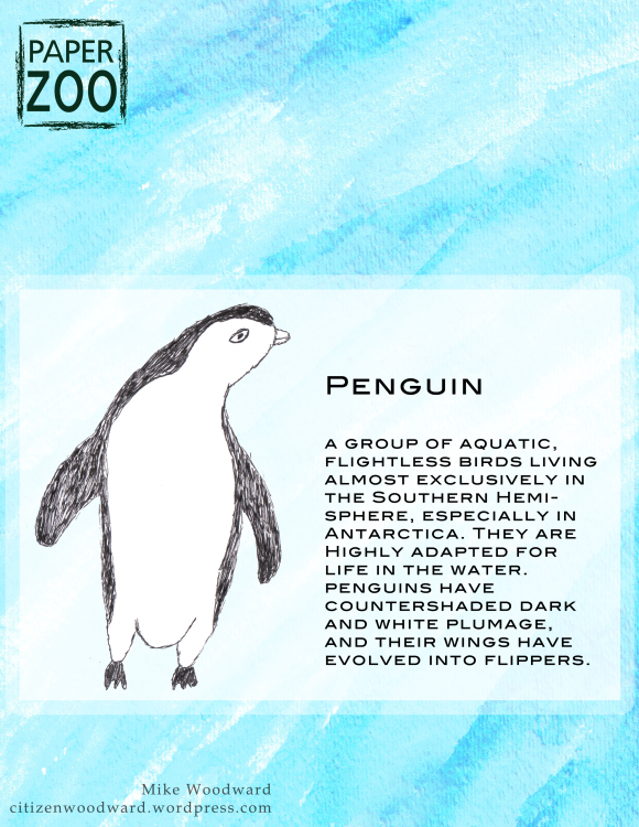 PaperZoo-penguin-template