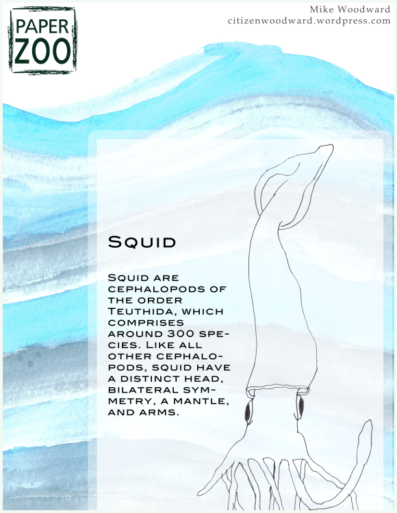 PaperZoo-squid-template